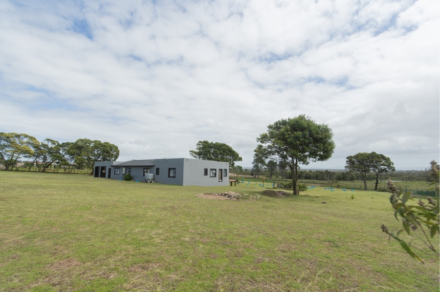 4 Bedroom Property for Sale in Greenbushes Eastern Cape